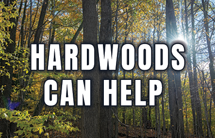 hardwoods can help