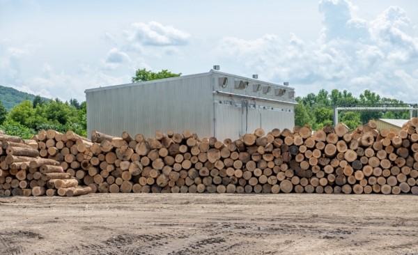 hardwood lumber kiln and hardwood logs