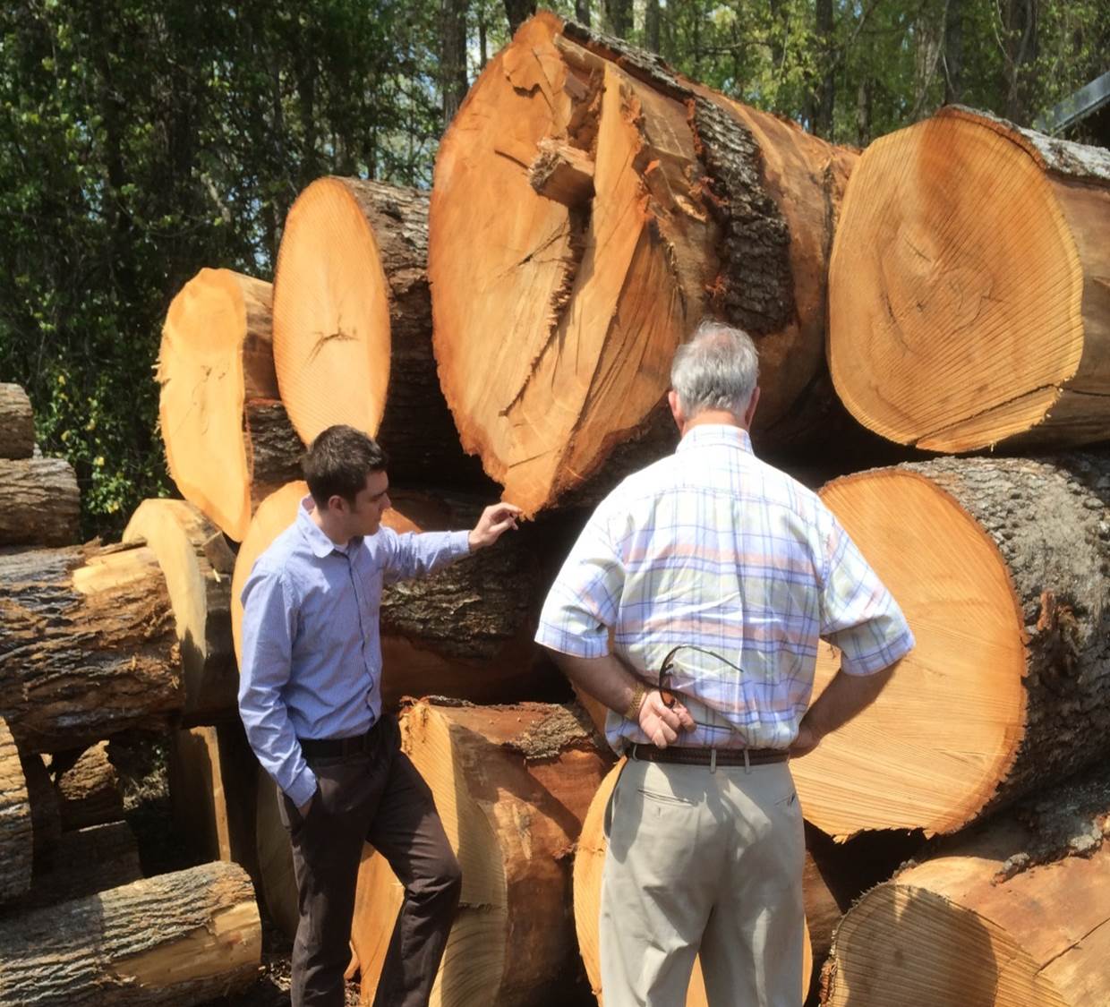 Hardwood Lumber Industry